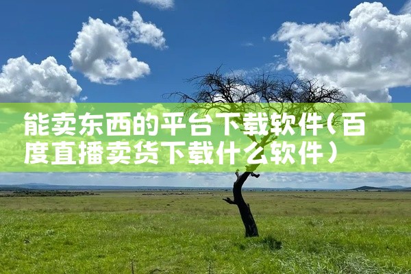 能卖东西的平台下载软件