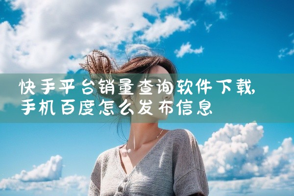 快手平台销量查询软件下载