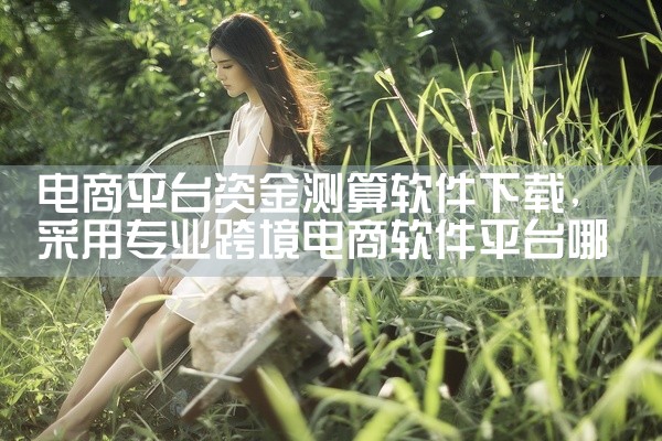 电商平台资金测算软件下载