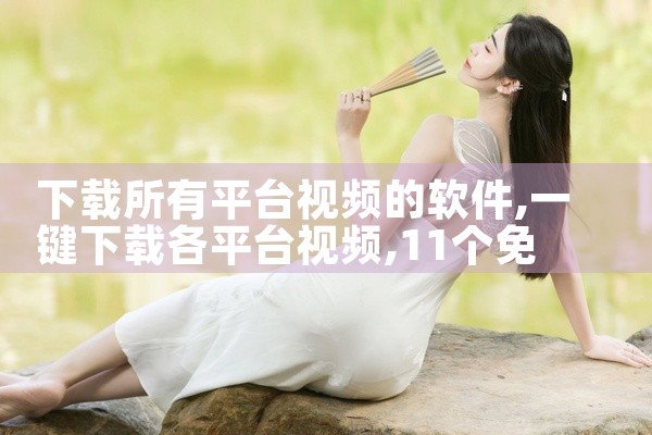 下载所有平台视频的软件