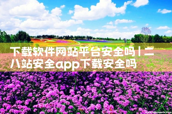 下载软件网站平台安全吗