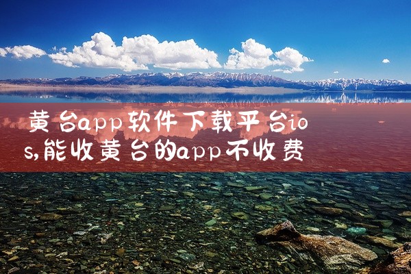 外汇平台下载什么软件