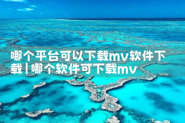 哪个平台可以下载mv软件下载