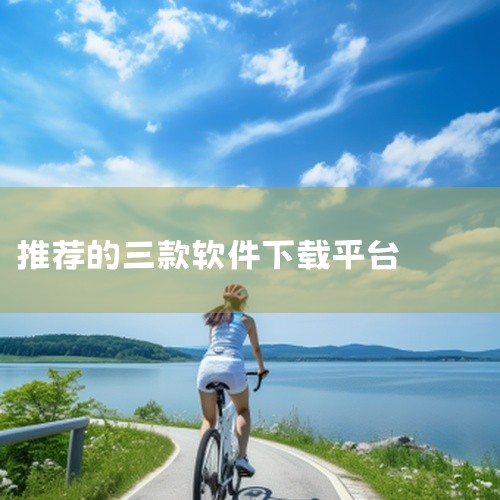 2. 应用公园：作为一个综合性的应用制作、下载和管理平台，它允许用户轻松创建自己的应用，并提供了便捷的应用管理功能。它旨在帮助用户简化应用的使用流程。3. 酷安：这个网站以其严格的软件审核流程和活跃的,