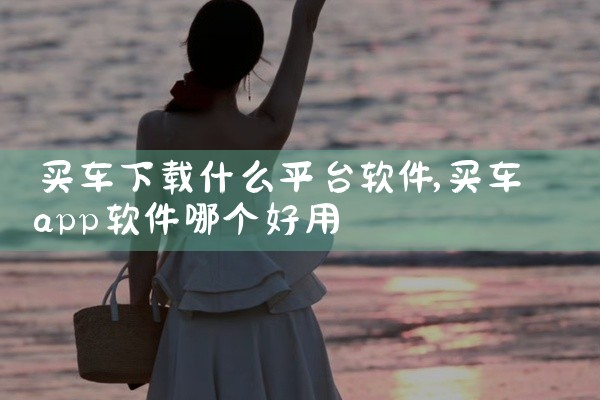买车下载什么平台软件
