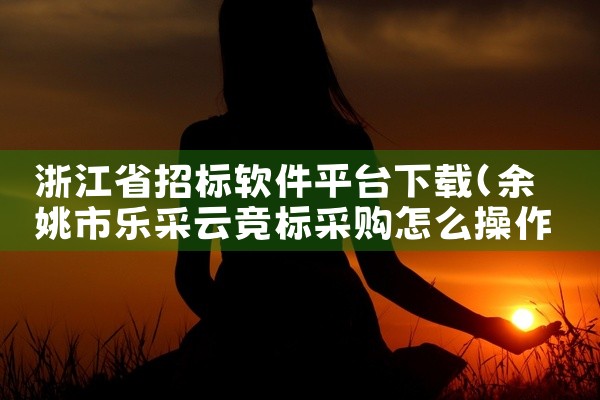 浙江省招标软件平台下载