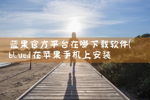 蓝果官方平台在哪下载软件